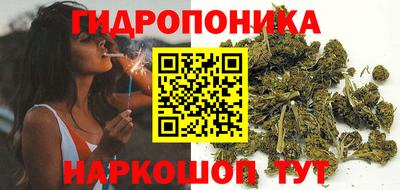 mdpv Можга