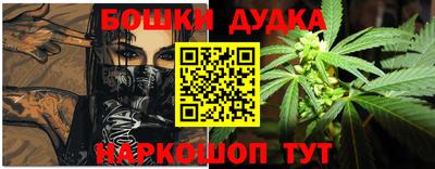 сатива Моздок