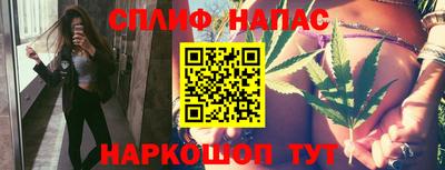 сатива Моздок