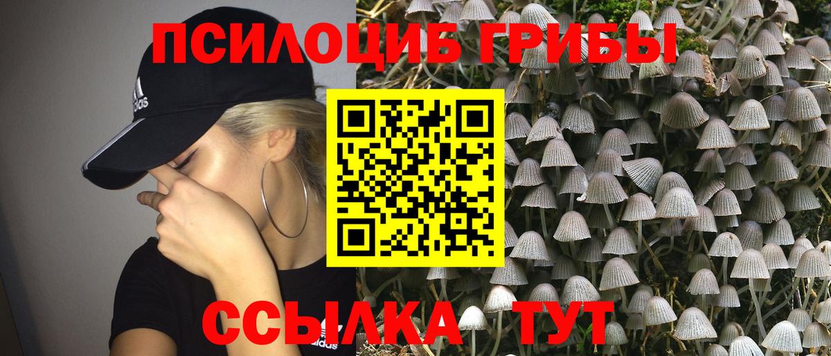 Галлюциногенные грибы мицелий Нерюнгри