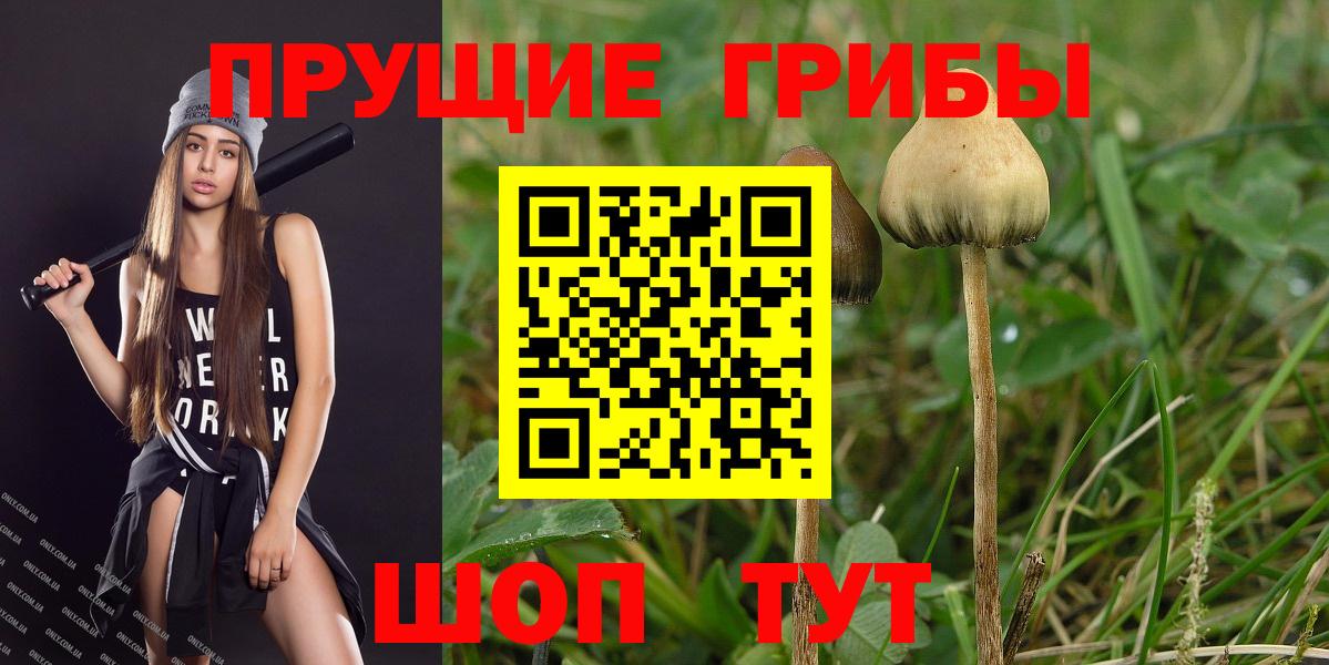 Псилоцибиновые грибы MAGIC MUSHROOMS  Вход с VPN  Нерюнгри 